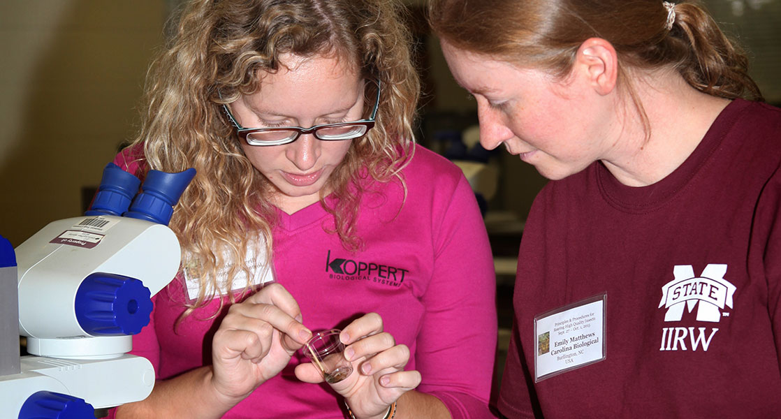 two females looking at insects